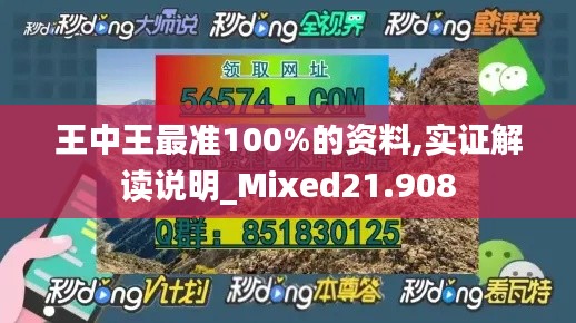 王中王最准100%的资料,实证解读说明_Mixed21.908