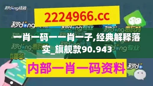 一肖一码一一肖一子,经典解释落实_旗舰款90.943