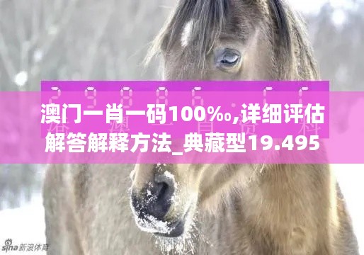 澳门一肖一码100‰,详细评估解答解释方法_典藏型19.495