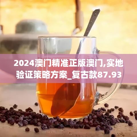 2024澳门精准正版澳门,实地验证策略方案_复古款87.937