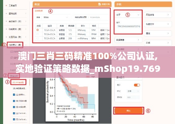 澳门三肖三码精准100%公司认证,实地验证策略数据_mShop19.769