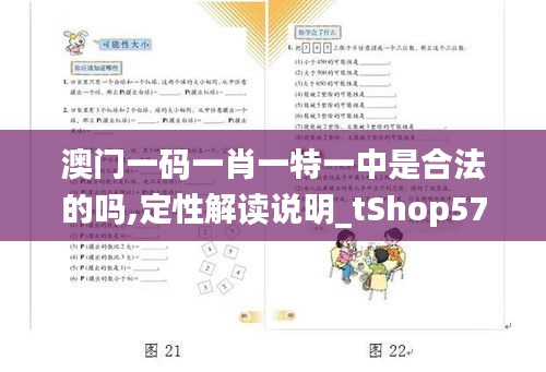 澳门一码一肖一特一中是合法的吗,定性解读说明_tShop57.10