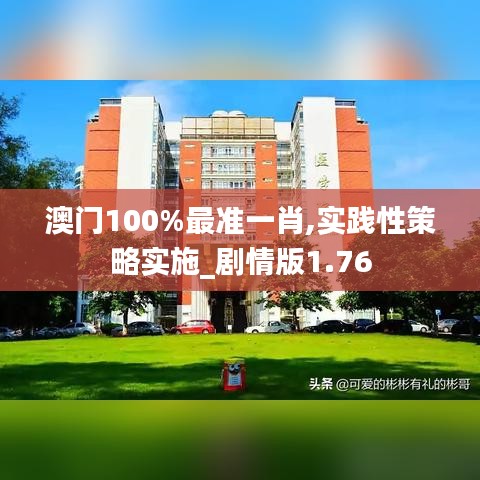 澳门100%最准一肖,实践性策略实施_剧情版1.76