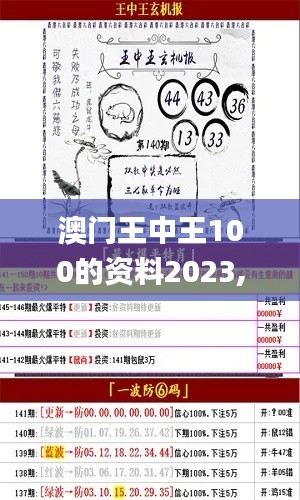 澳门王中王100的资料2023,优选方案解析说明_复刻版14.459-2