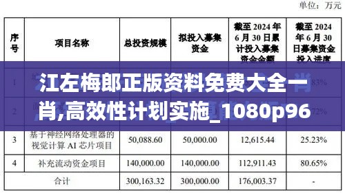 江左梅郎正版资料免费大全一肖,高效性计划实施_1080p96.530-7