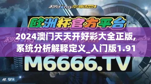 2024澳门天天开好彩大全正版,系统分析解释定义_入门版1.912-8