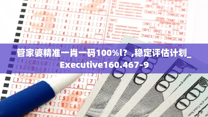 管家婆精准一肖一码100%l？,稳定评估计划_Executive160.467-9