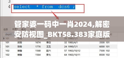 管家婆一码中一肖2024,解密安防视图_BKT58.383家庭版