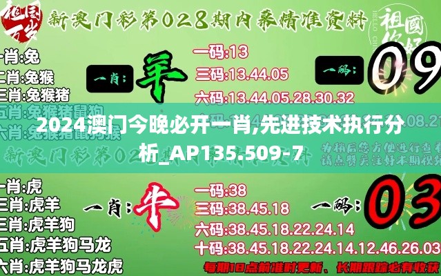 2024澳门今晚必开一肖,先进技术执行分析_AP135.509-7