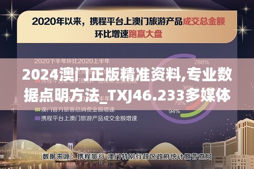 2024澳门正版精准资料,专业数据点明方法_TXJ46.233多媒体版