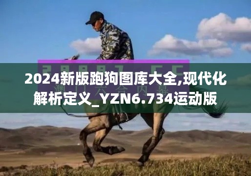 2024新版跑狗图库大全,现代化解析定义_YZN6.734运动版