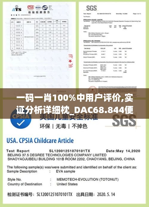 一码一肖100%中用户评价,实证分析详细枕_DAC68.844便携版