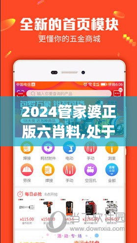 2024管家婆正版六肖料,处于迅速响应执行_DQH49.598多媒体版