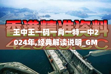 王中王一码一肖一特一中2024年,经典解读说明_GM版63.876-1