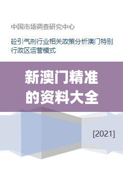 新澳门精准的资料大全,灵活性执行方案_QID46.812特供版