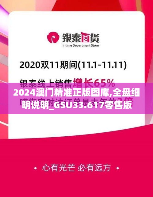 2024澳门精准正版图库,全盘细明说明_GSU33.617零售版