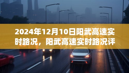 阳武高速实时路况评测报告，深度剖析繁忙交通中的表现与体验（2024年12月10日）