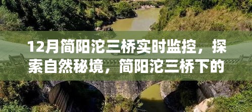 简阳沱三桥实时监控下的自然秘境探索，宁静之旅的奇妙邂逅