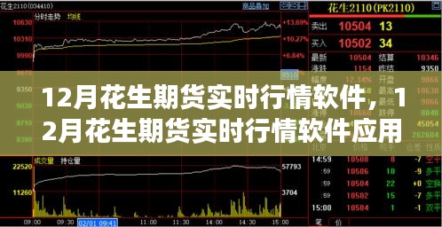 12月花生期货实时行情软件应用解析及市场动态