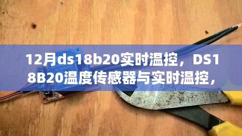 12月科技之光，DS18B20温度传感器引领实时温控新纪元